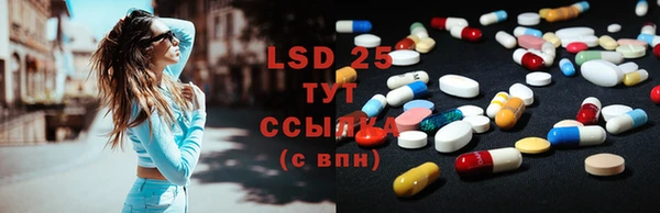 крисы Горняк