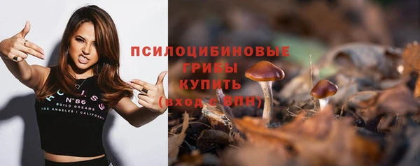 мдма Гусев
