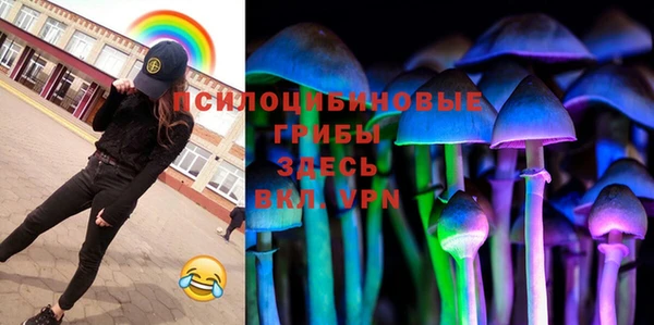 соль ск Гусь-Хрустальный