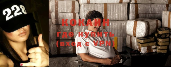 крисы Горняк