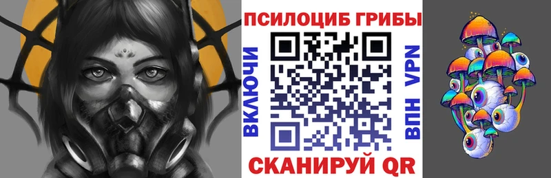 Галлюциногенные грибы мухоморы  Купить закладки  Североморск 